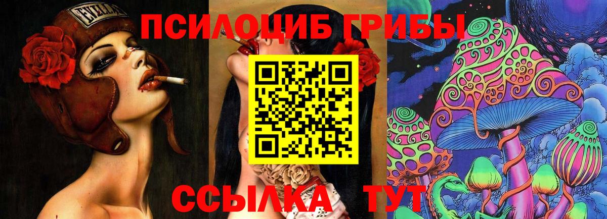 Дедовск  Галлюциногенные грибы мицелий  Вход с VPN 