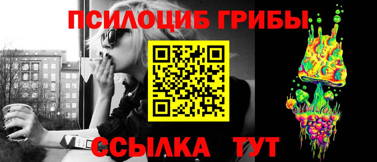 Псилоцибиновые грибы GOLDEN TEACHER Дедовск